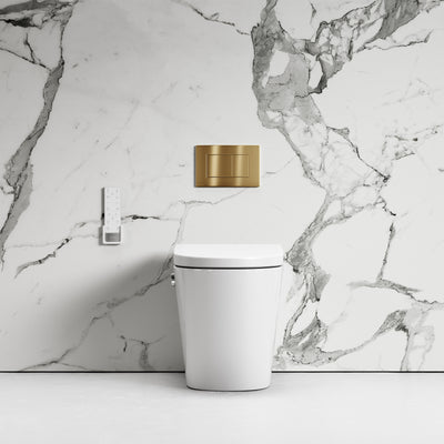 Intellismart Back To Wall Rimless Bidet Toilet with Concealed Cistern and Brushed Gold Flush Plate