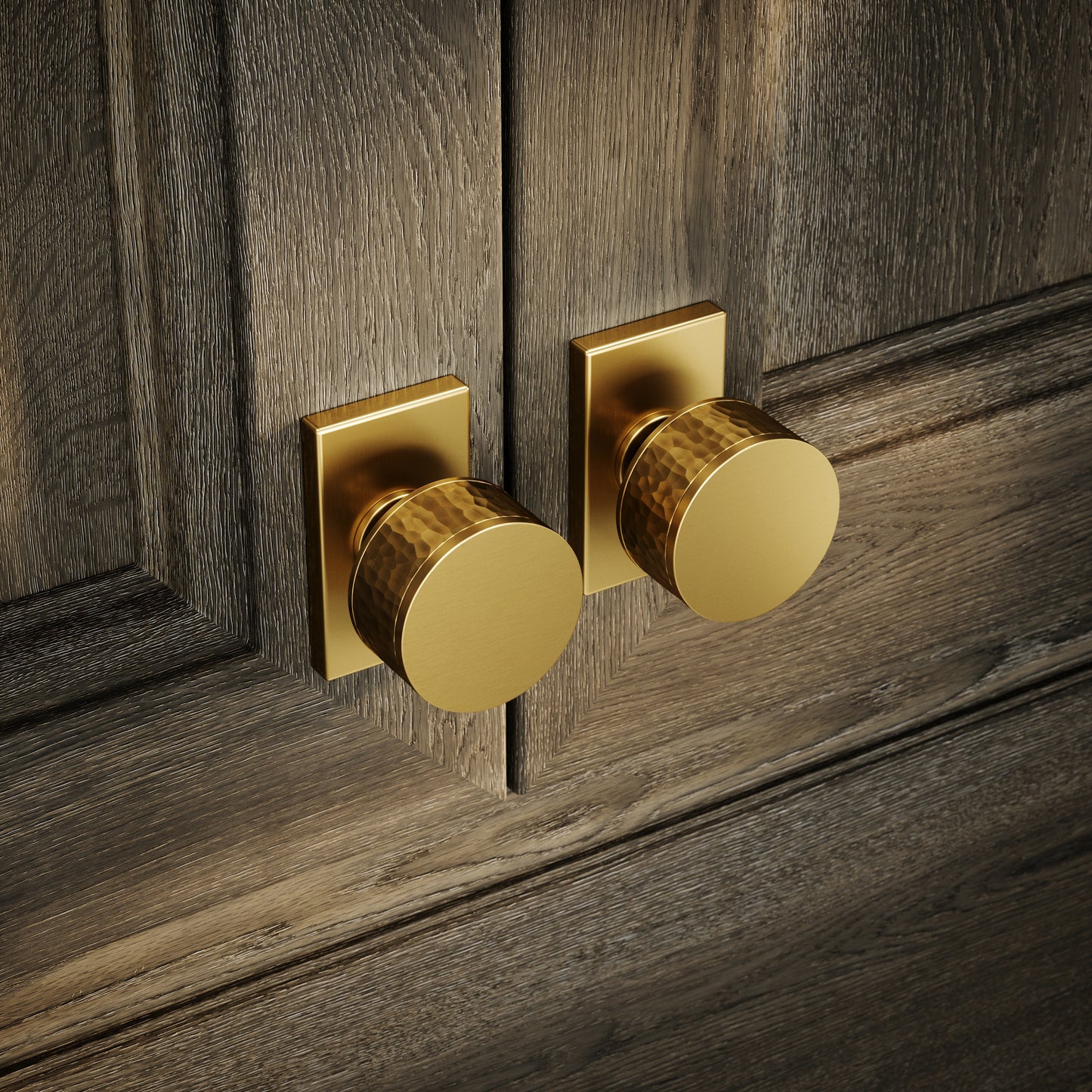 Chester Plate Brushed Gold Hammered Cabinet Door Knob