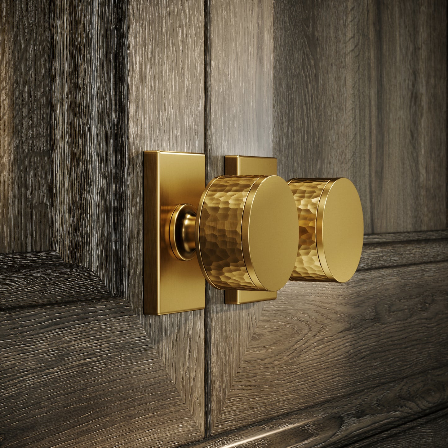Chester Plate Brushed Gold Hammered Cabinet Door Knob