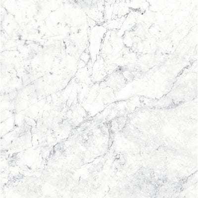 Massa Bianco Carrara Marble Porcelain Wall or Floor Tile 1200 x 600mm