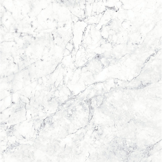 Massa Bianco Carrara Marble Porcelain Wall or Floor Tile 1200 x 600mm