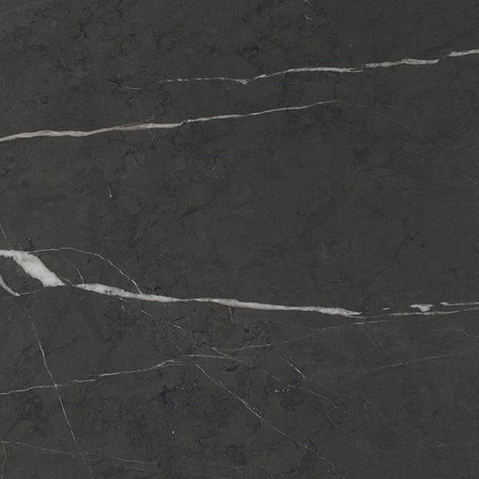 Pietra Grey Marble Sample
