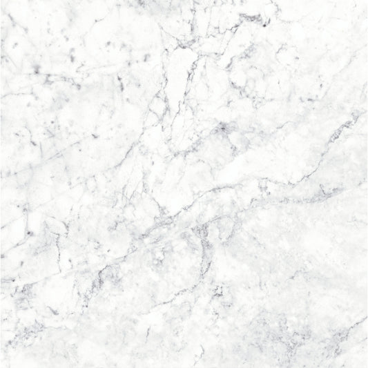 Massa Bianco Carrara Marble Porcelain Wall or Floor Tile 600 x 600mm