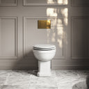 Portland Back To Wall Traditional Toilet With Solid Oak Matte White Seat with Concealed Cistern and Brushed Gold Flush Plate