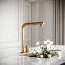 Pure Brushed Gold Pull Out Swivel Kitchen Tap