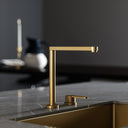 Tempo 2 Hole Brushed Gold Kitchen Tap with Swivel Spout