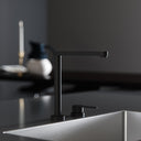 Tempo 2 Hole Matte Black Kitchen Tap with Swivel Spout