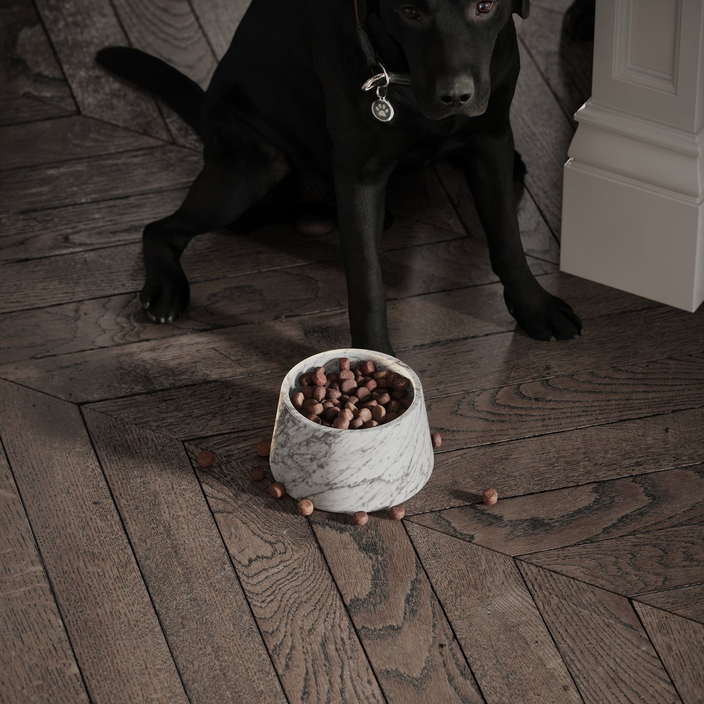 Vasoni Carrara Marble Dog Bowl
