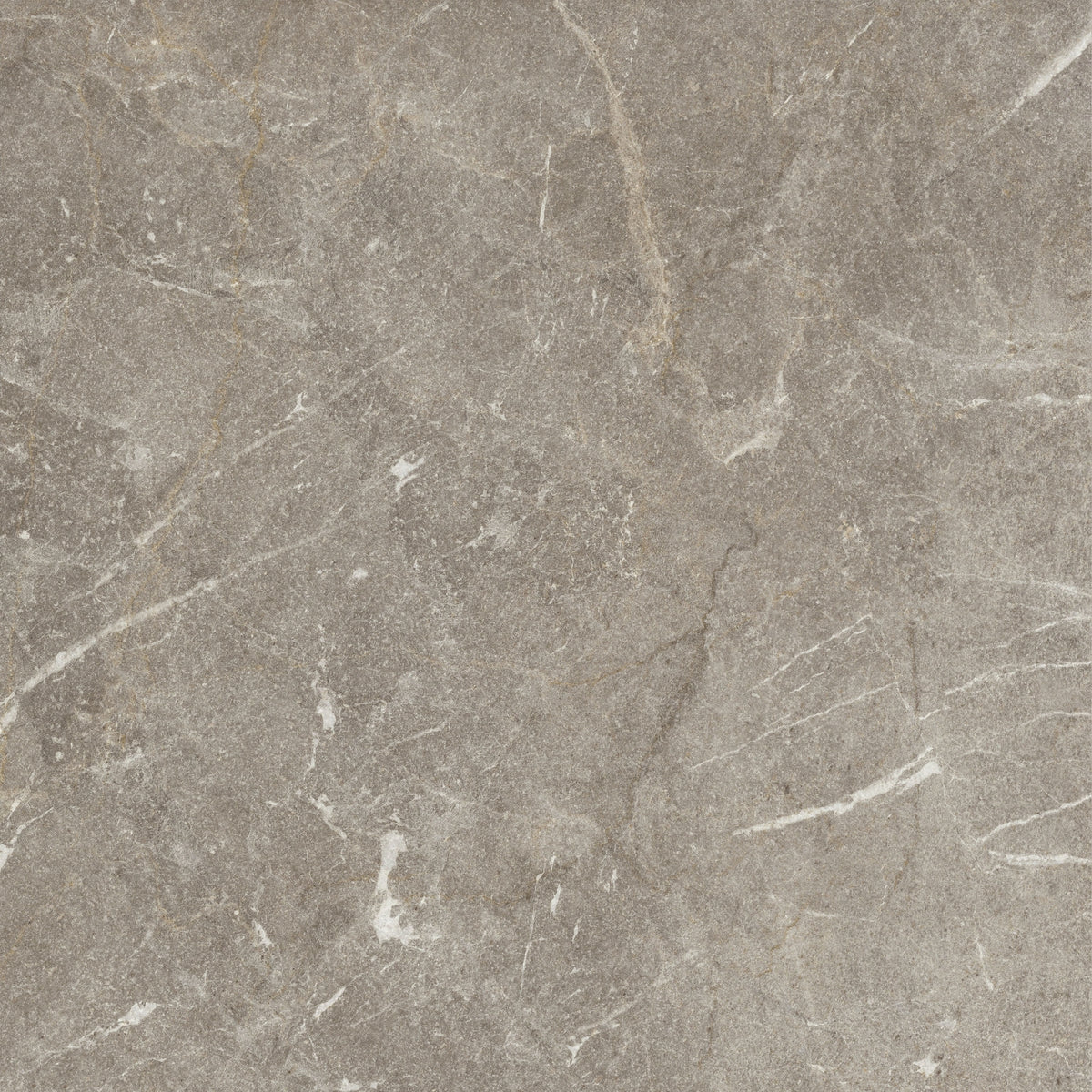 Vittorio Taupe Limestone Porcelain Sample