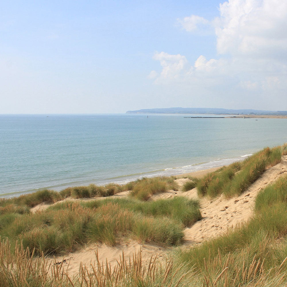 Camber Beach House