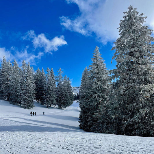 Chalet Grand-Duc: Contemporary Mountain Retreat
