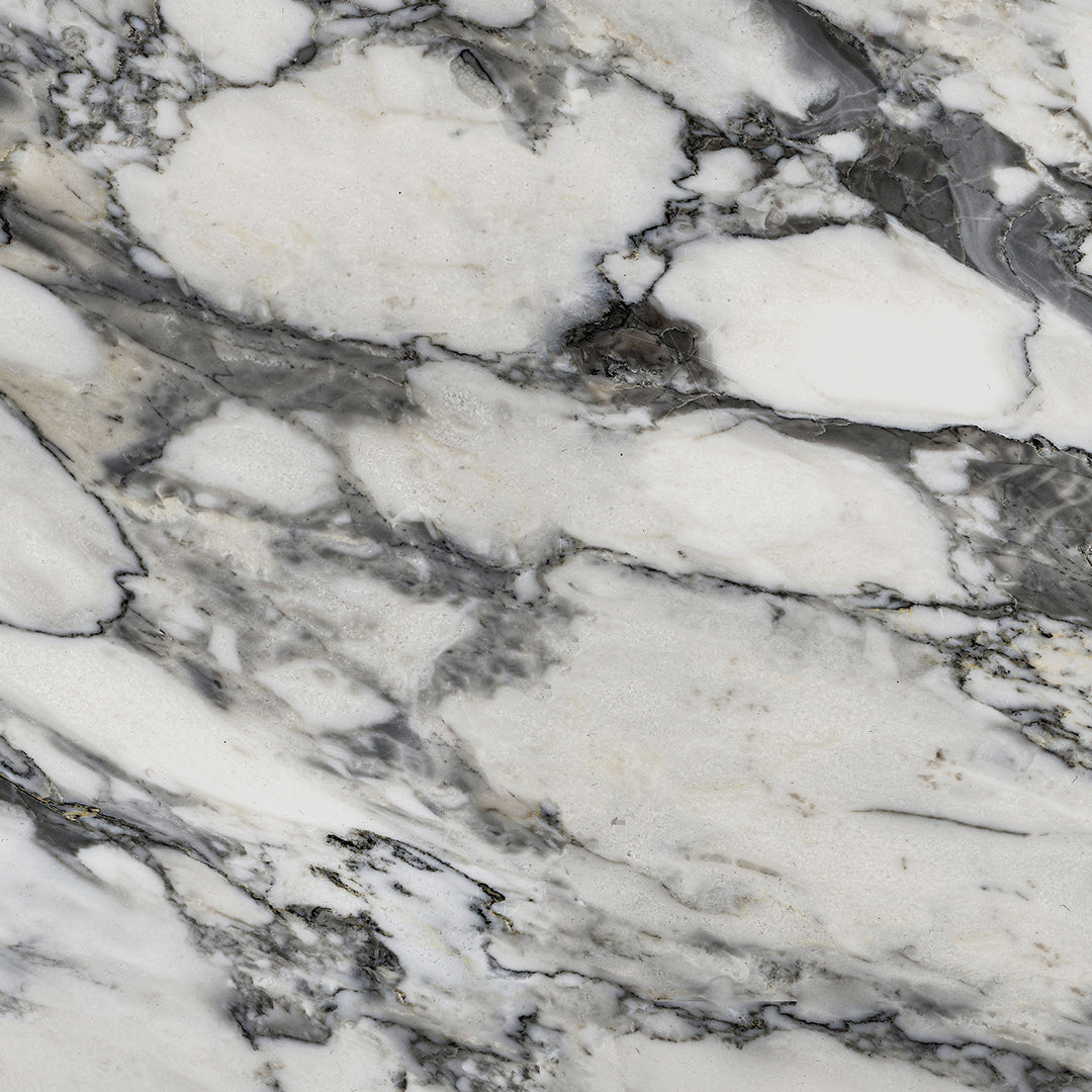 Arabescato Marble Sample