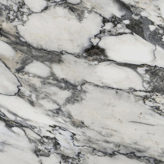 Arabescato Marble Sample