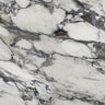 Arabescato Marble Sample