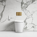 Intellismart Back To Wall Rimless Bidet Toilet with Concealed Cistern and Brushed Gold Flush Plate