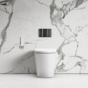 Intellismart Back To Wall Rimless Bidet Toilet with Concealed Cistern and Gunmetal Flush Plate