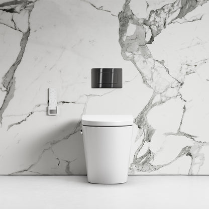 Intellismart Back To Wall Rimless Bidet Toilet with Concealed Cistern and Gunmetal Flush Plate