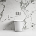 Intellismart Back To Wall Rimless Bidet Toilet with Concealed Cistern and Brushed Stainless Flush Plate