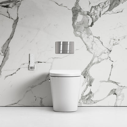 Intellismart Back To Wall Rimless Bidet Toilet with Concealed Cistern and Brushed Stainless Flush Plate