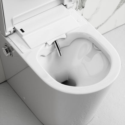 Intellismart Back To Wall Rimless Bidet Toilet with Concealed Cistern and Brushed Stainless Flush Plate