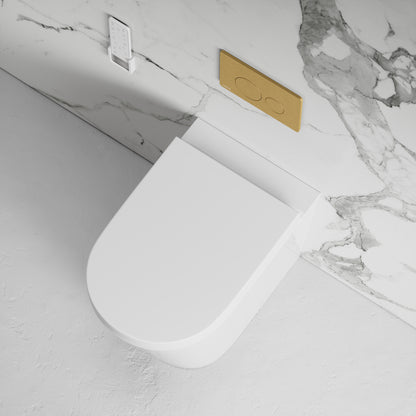 Intellismart Back To Wall Rimless Bidet Toilet with Concealed Cistern and Rectangle Flush Plate
