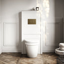 Berkeley Traditional Back to Wall Rimless Toilet with Concealed Cistern, Matte White Claridge Housing and Aged Bronze Flush Plate