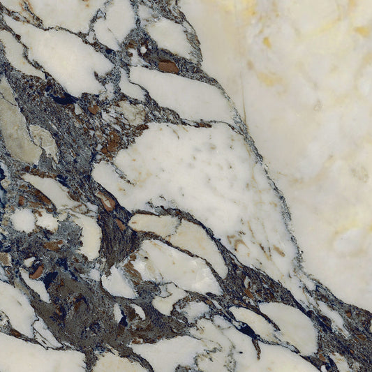 Calacatta Viola Marble Sample