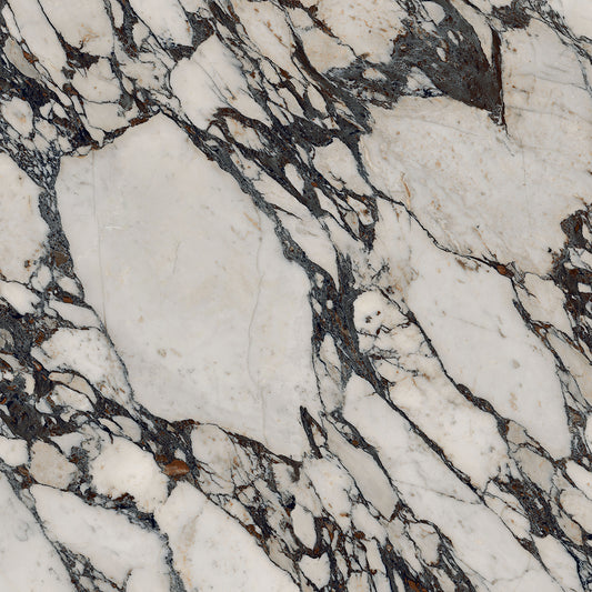 Calacatta Viola Marble Sample