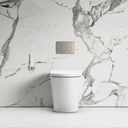Intellismart Back To Wall Rimless Bidet Toilet With Concealed Cistern And Round Flush Plate