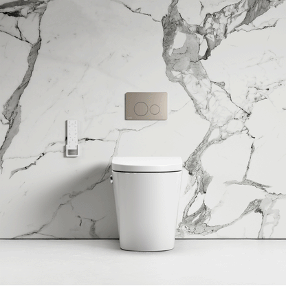 Intellismart Back To Wall Rimless Bidet Toilet With Concealed Cistern And Round Flush Plate