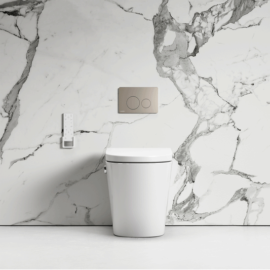 Intellismart Back To Wall Rimless Bidet Toilet With Concealed Cistern And Round Flush Plate