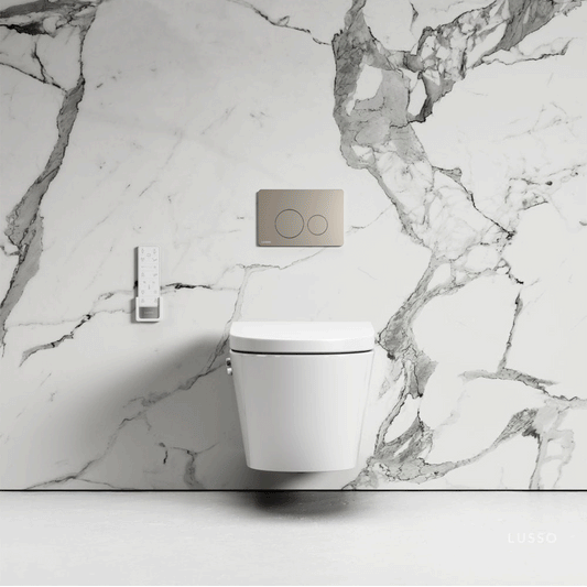 Intellismart Wall Hung Rimless Bidet Toilet with Concealed Cistern Frame and Round Flush Plate