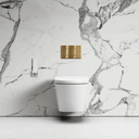 Intellismart Wall Hung Rimless Bidet Toilet with Concealed Cistern and Rectangle Flush Plate