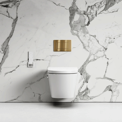 Intellismart Wall Hung Rimless Bidet Toilet with Concealed Cistern and Rectangle Flush Plate