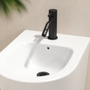 Luxe Matte Black Bidet Tap