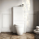 Berkeley Back to Wall Toilet and Matte White Claridge Housing