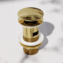 Luxe Polished Brass Slotted Click Clack Basin Waste