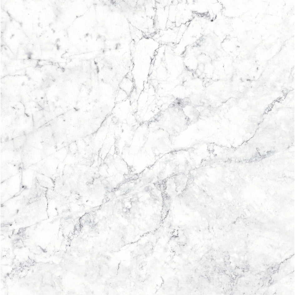 Massa Bianco Carrara Marble Porcelain Wall or Floor Tile 1200 x 600mm