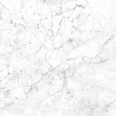 Massa Bianco Carrara Marble Porcelain Tile Sample