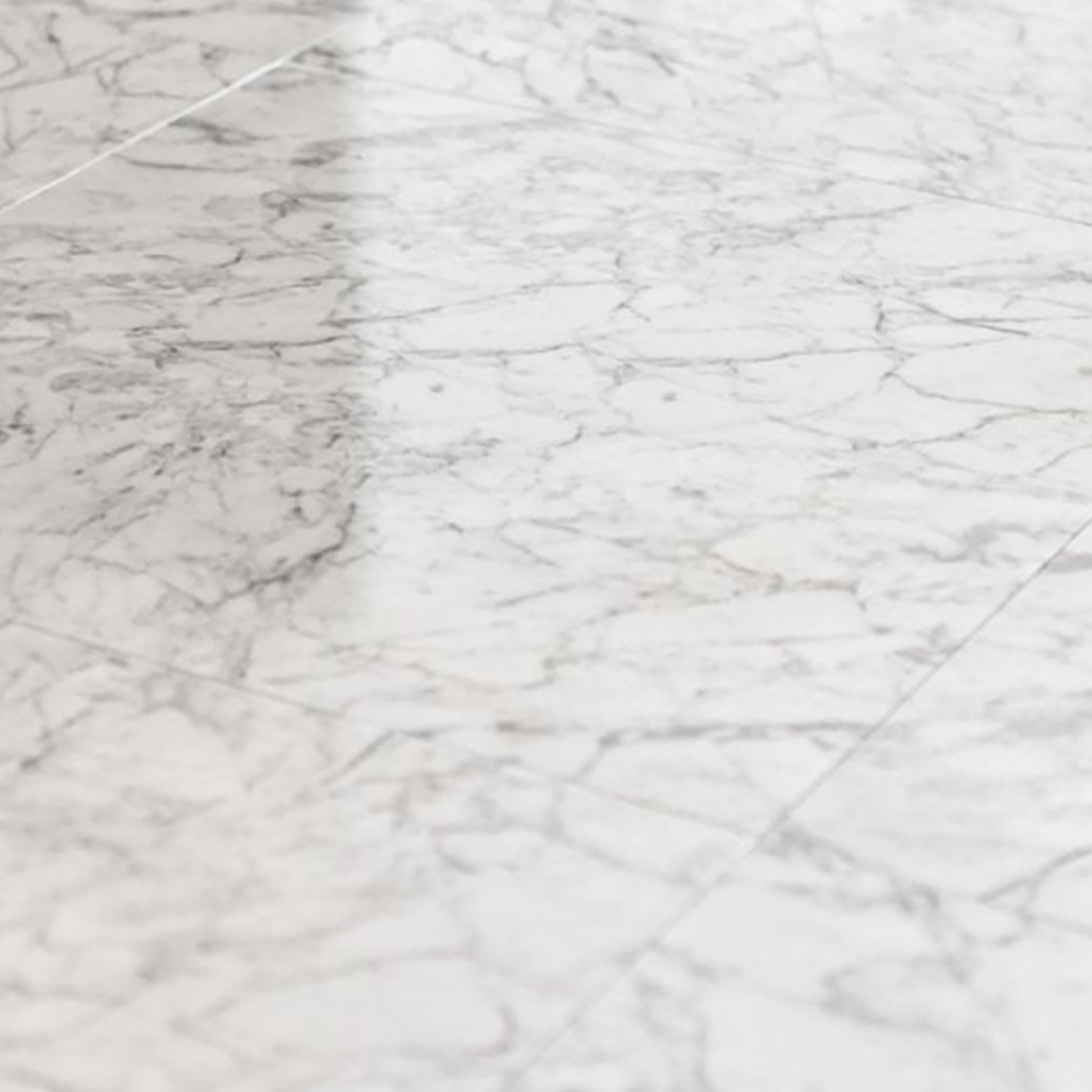 Milano Polished Carrara Marble Tile Sample