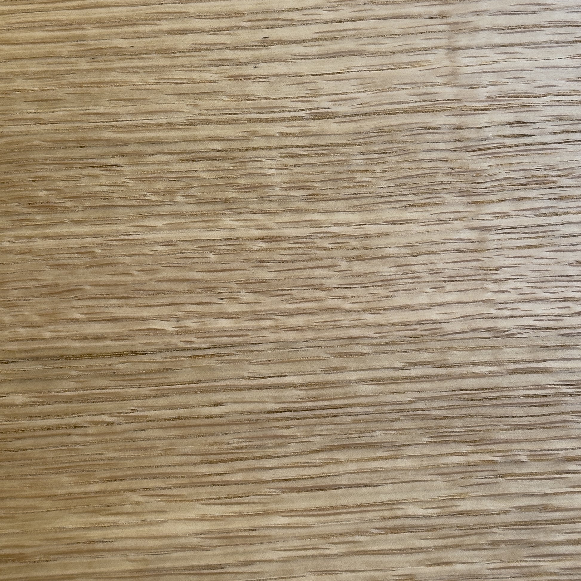 Oak Wood Sample
