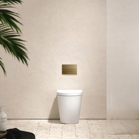 Senza Back To Wall Rimless Toilet with Concealed Cistern and Square Flush Plate