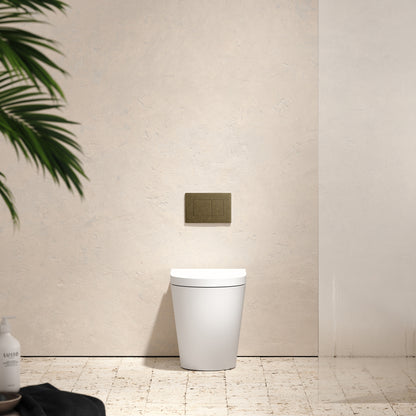 Senza Back To Wall Rimless Toilet with Concealed Cistern and Aged Bronze Flush Plate