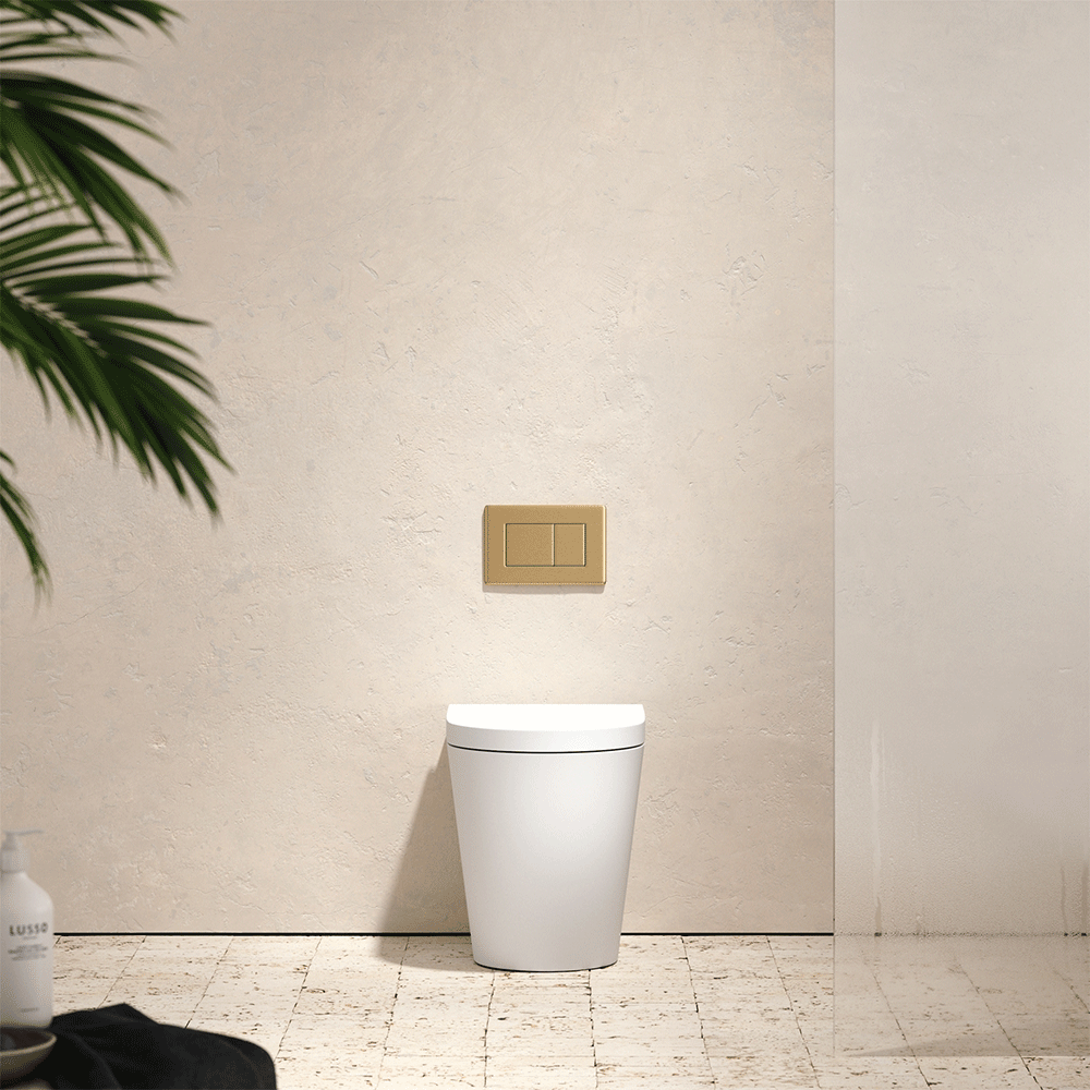 Senza Back To Wall Rimless Toilet with Concealed Cistern and Rectangle Flush Plate