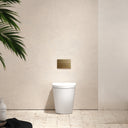 Senza Back To Wall Rimless Toilet with Concealed Cistern and Square Flush Plate