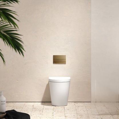 Senza Back To Wall Rimless Toilet with Concealed Cistern and Square Flush Plate