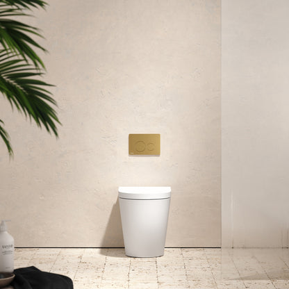 Senza Back To Wall Rimless Toilet with Concealed Cistern and Round Flush Plate