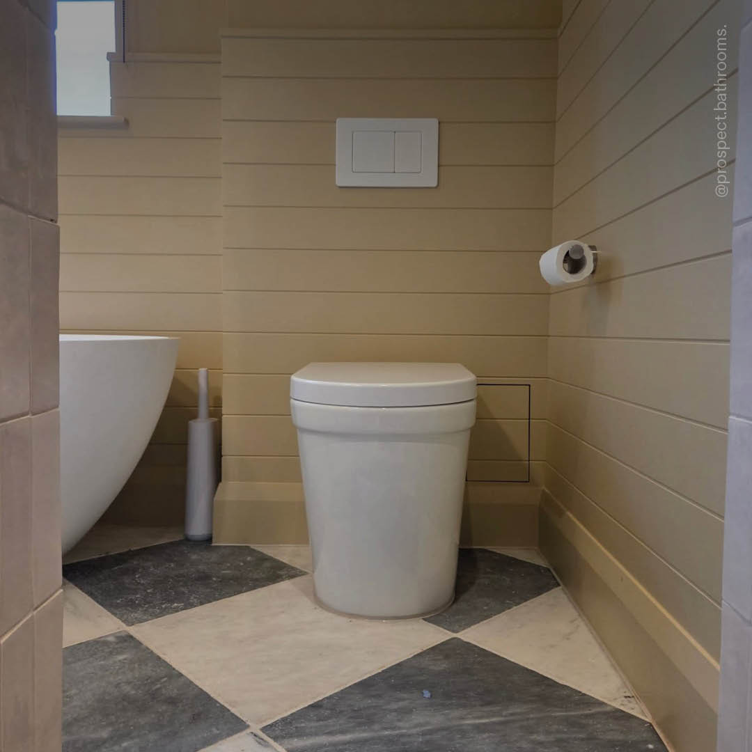 Senza Back To Wall Rimless Toilet with Concealed Cistern and Matte White Flush Plate