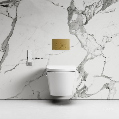 Intellismart Wall Hung Rimless Bidet Toilet with Concealed Cistern Frame and Round Flush Plate