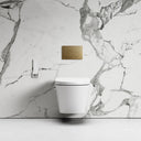 Intellismart Wall Hung Rimless Bidet Toilet with Concealed Cistern Frame and Round Flush Plate